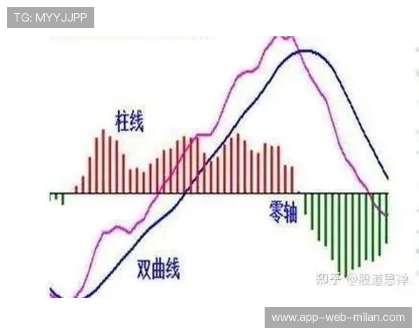 胜率上涨📊持续赢