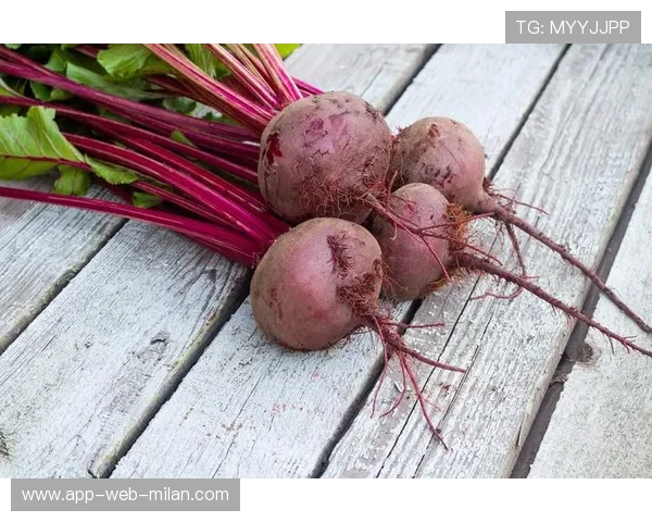 甜菜根汁的耐力提升：硝酸盐的作用，甜菜根有消炎的功效吗